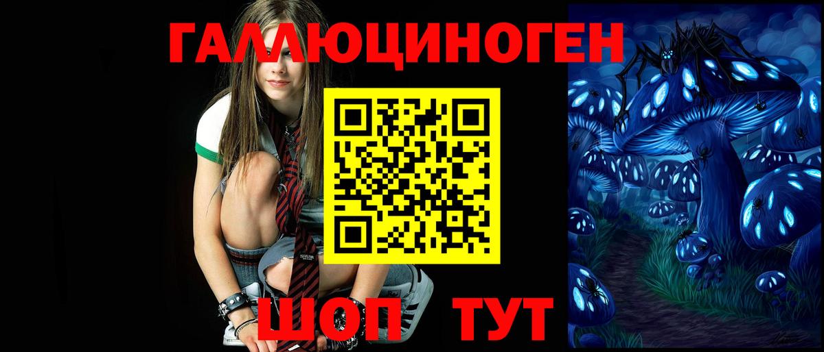 Михайловск  Галлюциногенные грибы мицелий  Вход с VPN 